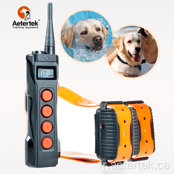 Aetertek AT-919C collier de dressage de chiens à distance 2 récepteurs